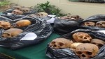 Cercado: decomisan 180 cráneos humanos