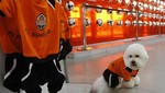 El Shakhtar Donetsk sacó camisetas para perros