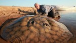 Conoce al pez de agua dulce más grande en Argentina (Video)