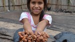 Decretan el 1 de octubre como el día del cacao en el Perú