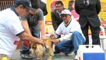Minsa logró inmunizar contra la rabia a más de dos millones de canes