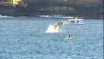 Ballena casi aplasta a una surfista (Video)