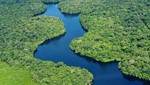 Brasil reduce niveles de defosteración de la selva amazónica