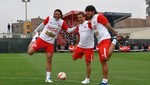 Ollanta Humala alentaría a la selección desde palco presidencial