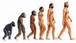 Homo viator