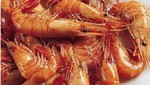 Hoy se inicia campaña 'No comas camarón, evita su extinción'