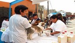 Barranco ofrecerá spa canino gratuito con atención veterinaria especializada
