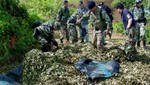 Decomisan 60 kilos de hoja de coca en La Libertad