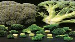 Brócoli, la nueva arma contra el cáncer
