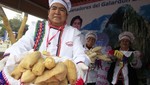 Cronograma de actividades de inauguración de Mistura 2011