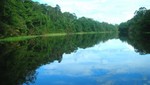 Mañana se sabrá si el Amazonas es elegido una de las 7 maravillas naturales del mundo