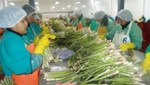 Agroexportaciones peruanas crecieron un 3,041% desde 1980