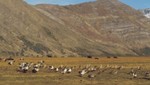 Acusan graves problemas ambientales de la estepa en la Patagonia