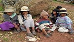 23.3% de la población en el Perú son niños