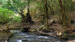 La Gomera, naturaleza en estado puro