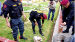 Cusco: Alerta por amenaza de bomba se registró en la Plaza Túpac Amaru