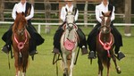 Noche de Gala del Caballo Peruano de Paso, 'Luz y Sonido'