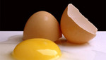 Hoy se celebra el Día Mundial del Huevo