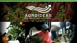 Productores agrarios de Cajamarca  mejorarán calidad de café de exportación