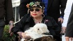 El hijo de Liz Taylor lucha por la custodia del perro de su madre