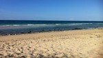 SOS por las playas del este