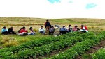 Especialistas del INIA transfieren tecnologías agropecuarias usando idioma quechua