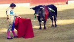 ¿Usted considera una tradición peruana las corridas de toros?