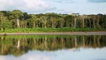 Joya de la Amazonía: Parque Nacional del Manu se prepara para recibir temporada alta de turismo en el área natural protegida