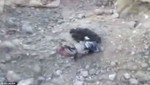 YouTube colapsa por supuesto rebelde sirio enterrado vivo (Video)