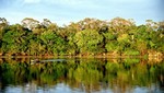 Parque Nacional Alto Purus y Reserva Comunal avanzan en la actualización de su Plan Maestro