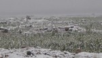 Fuerte granizada afectó el distrito de Vinchos en Ayacucho