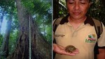 MABOSINFRON consigue aprobación de 1ra concesión para la conservación de sus bosques en la historia