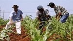 La FAO ofrece apoyar la política agraria del gobierno peruano