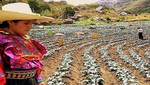 Ojo: Paro en Cajamarca ocasiona pérdidas diarias por un millón de soles