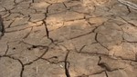 Ministerio del Ambiente organiza actividades por el Día Mundial Contra la Desertificación y la Sequía