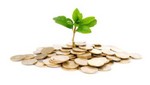 Economía Verde: Una manera de privatizar los ecosistemas