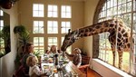[FOTOS] En un hotel de Kenia puedes desayunar con las jirafas