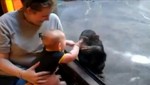[VIDEO] Un chimpancé y un bebé se hacen amigos en el zoo