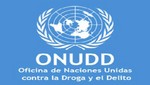 Consumo de drogas se estabiliza a nivel mundial