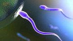 Nuevo gel anticonceptivo para varones