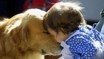 Niños que viven con perros y gatos son más saludables