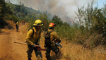 España: Protección a la Biomasa para evitar incendios forestales
