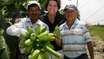 El plátano maleño, el tatarabuelo de todos los plátanos