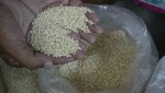 Agricultura promoverá la venta de productos andinos
