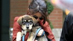 Mascota de Selena Gomez casi muere por comer piedras