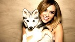 Miley Cyrus será reconocida por su amor a  los animales