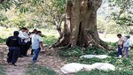 [VIDEO] Honduras: San Pedro Sula es considerada la ciudad más peligrosa del mundo
