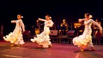 COLORES FLAMENCOS: Música y danza flamenca