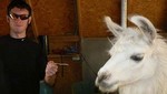 Masacre de Denver: James Holmes envió currículum con foto donde alimenta a una llama