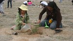 Voluntarios del Comando Ecológico reforestaron mil plantones de tara en la Reserva Nacional de Lachay